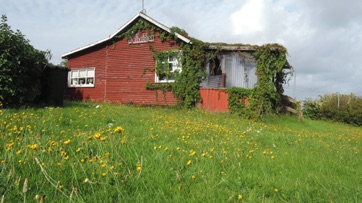 STIHUSVEJ 4, SOLBAKKEN - LYSTRUP STRAND, blomster.jpg